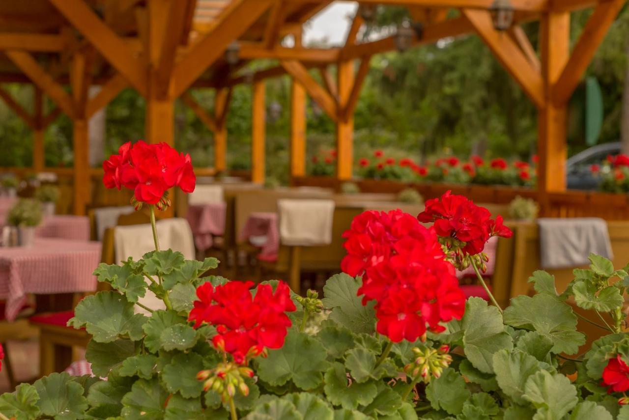 Lipicai Hotel Es Etterem Сильвашварад Экстерьер фото